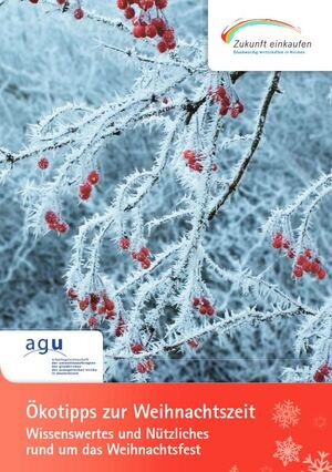 Cover Broschüre mit verschneiten Zweigen