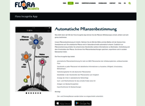 Website Flora incognito Startseite der App mit Pflanzenzeichnung