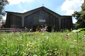 Wildblumen blühend vor einer Kirche