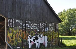 Auf Scheunenwand aufgemalte Kühe und Slogans in veschiedenen Sprachen